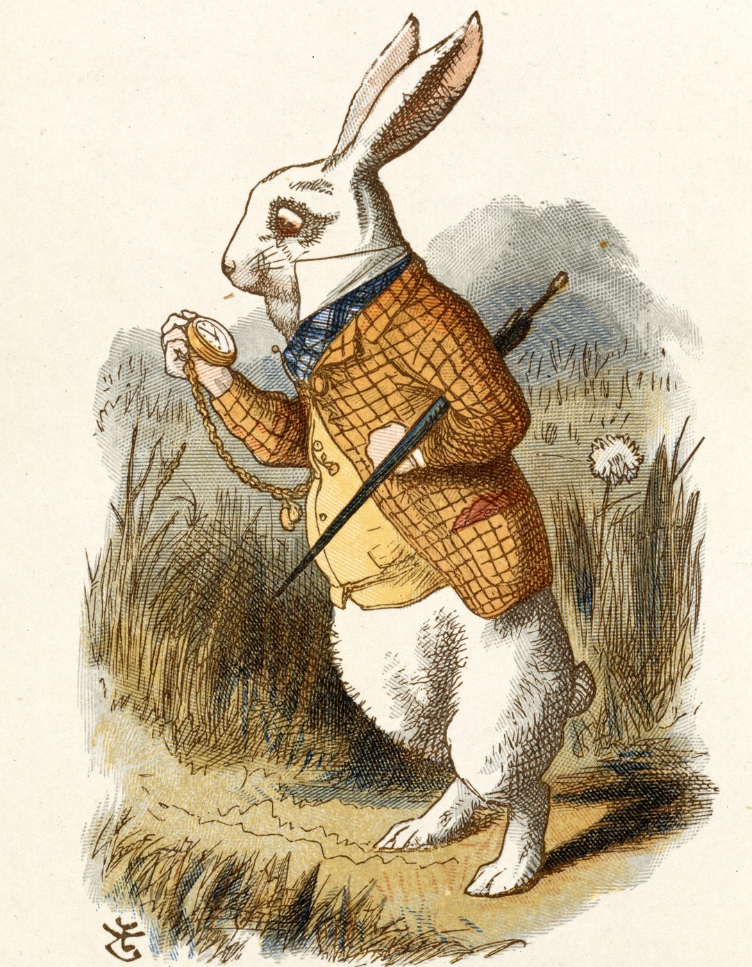 Are You Like The White Rabbit? Mary Ann Johnson