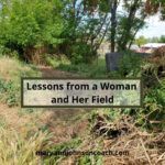 Lessons from a field