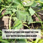 Revive after the heat 10-9-22 BL