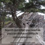 Search out what you need 10-23-22 BL