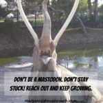 Don't Be A Mastodon