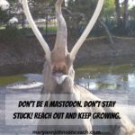 Don’t be a mastodon 10-22-23 BL