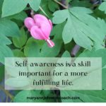 Self-awareness is a skill important 10-15-23 BL