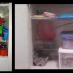 Johnsons-closet-pictures